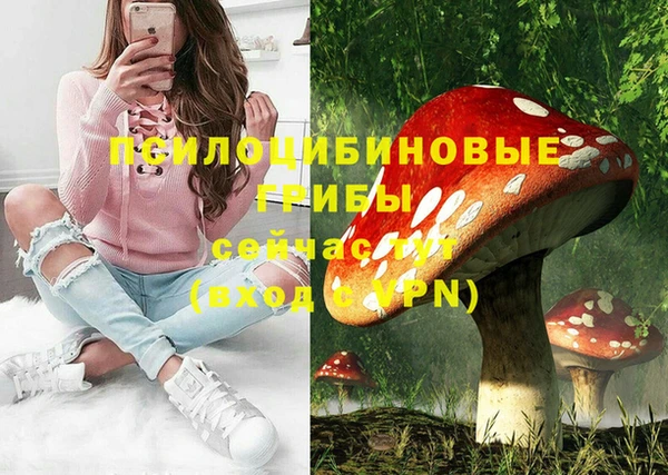 герыч Мегион