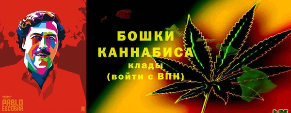 шишки Новочеркасск