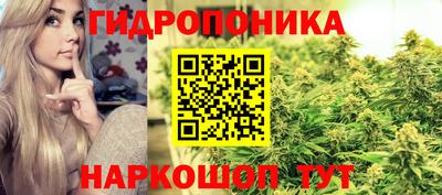 гидропоника Новодвинск