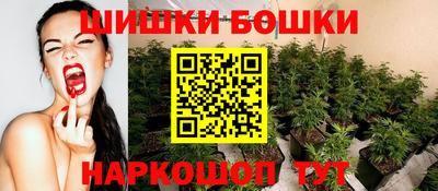 гидропоника Новодвинск